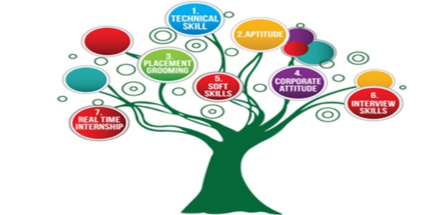 mim skill development